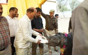 वन्यजीव संरक्षण एवं प्रबंधन को सशक्त बनाने की दिशा में निरंतर प्रयास: सुबोध उनियाल